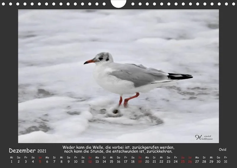 Holistic Arts Strand-Kalender 2021 - Strandgut A4
