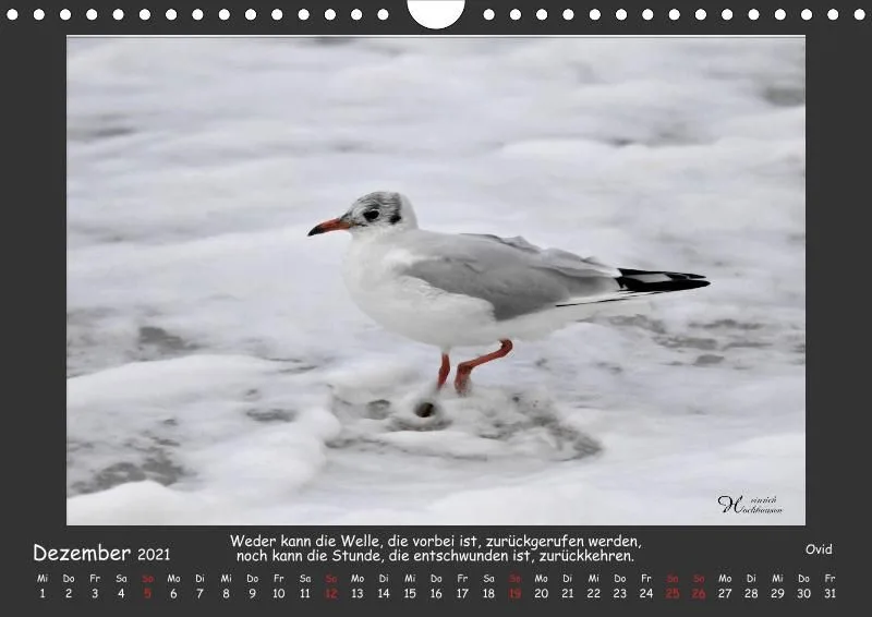 Holistic Arts Strand-Kalender 2021 - Strandgut A4