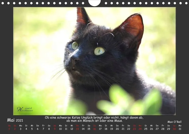 Holistic Arts Katzen-Kalender 2021 - Aristocats A4