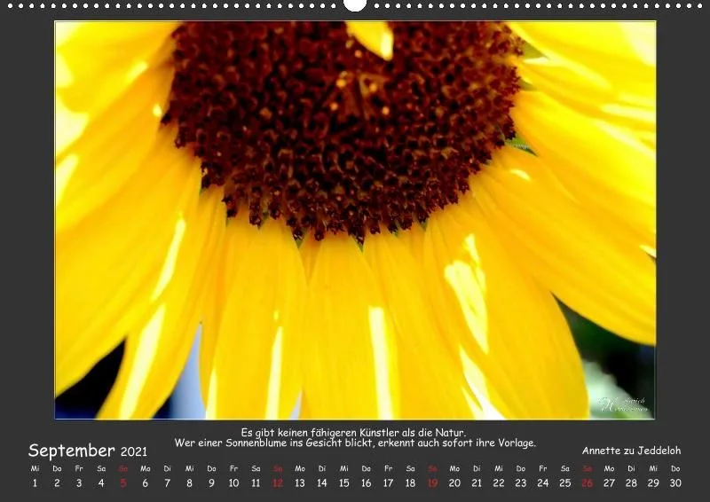 Holistic Arts Blumen-Kalender 2021 - Lächeln der Erde A2