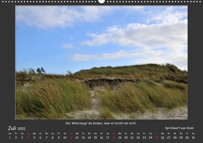 Holistic Arts Strand-Kalender 2021 - Strandgut A2
