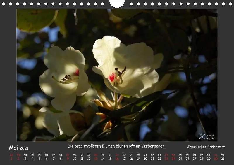 Holistic Arts Blumen-Kalender 2021 - Lächeln der Erde A4