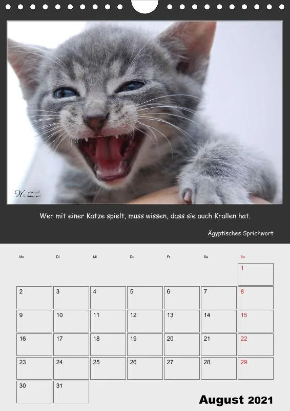 Holistic Arts Katzen-Termin-Kalender 2021 - Aristocats