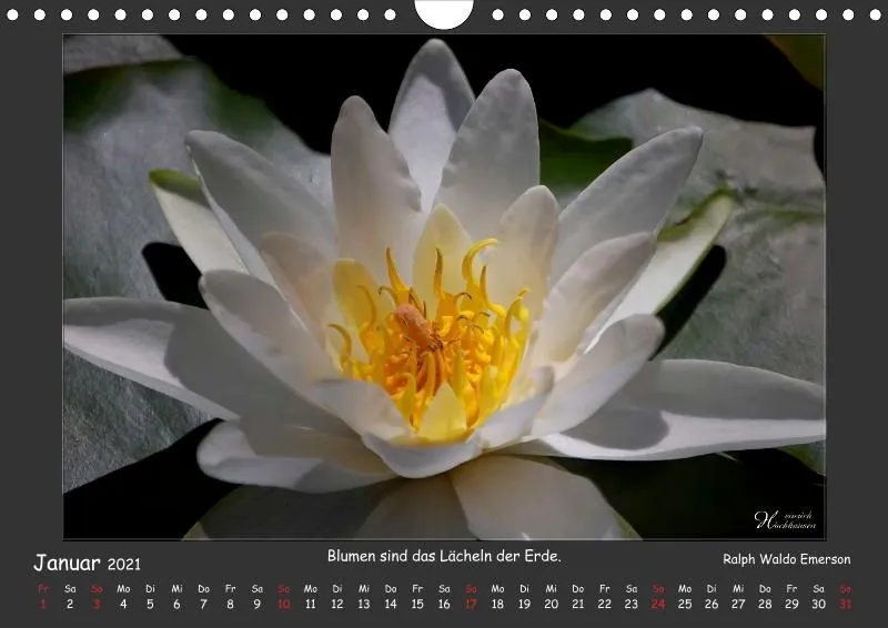 Holistic Arts Blumen-Kalender 2021 - Lächeln der Erde A4