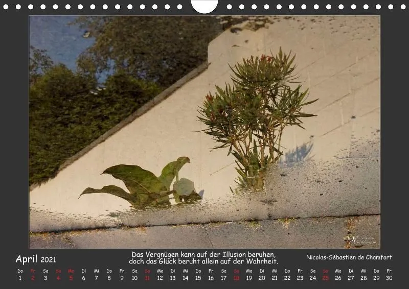 Holistic Arts Spiegelungen-Kalender 2021 - Illusionen A4