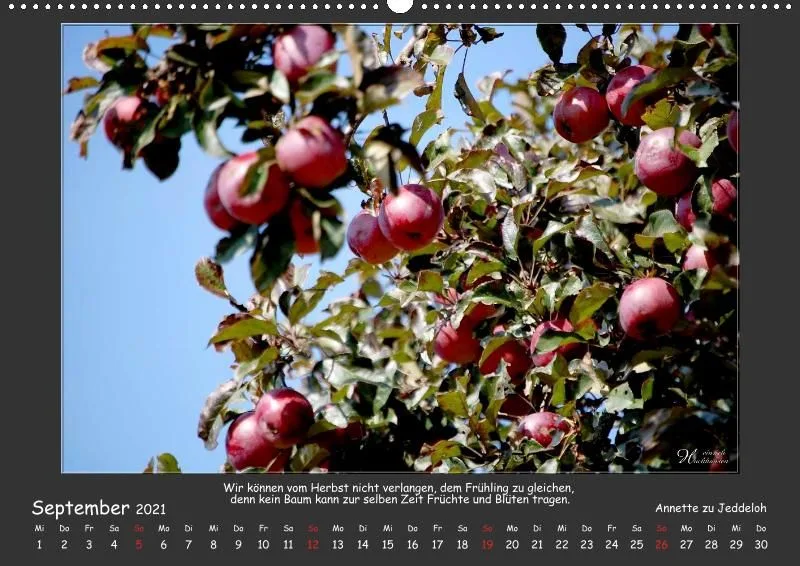 Holistic Arts Jahreszeiten Kalender 2021 - Jahreszeiten A2