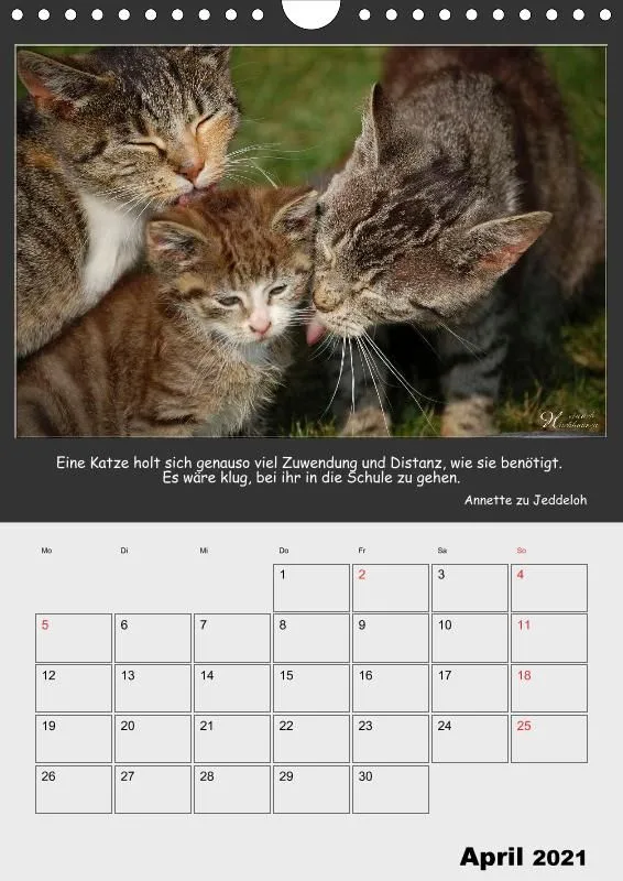 Holistic Arts Katzen-Termin-Kalender 2021 - Aristocats