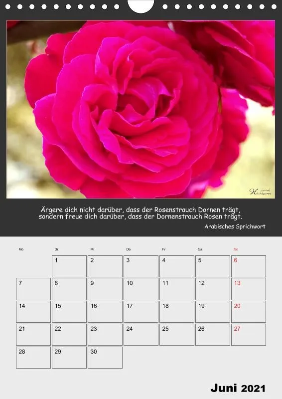 Holistic Arts Blumen-Termin-Kalender 2021 - Lächeln der Erde