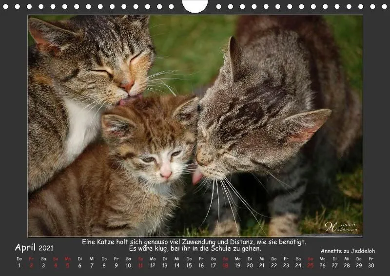 Holistic Arts Katzen-Kalender 2021 - Aristocats A4