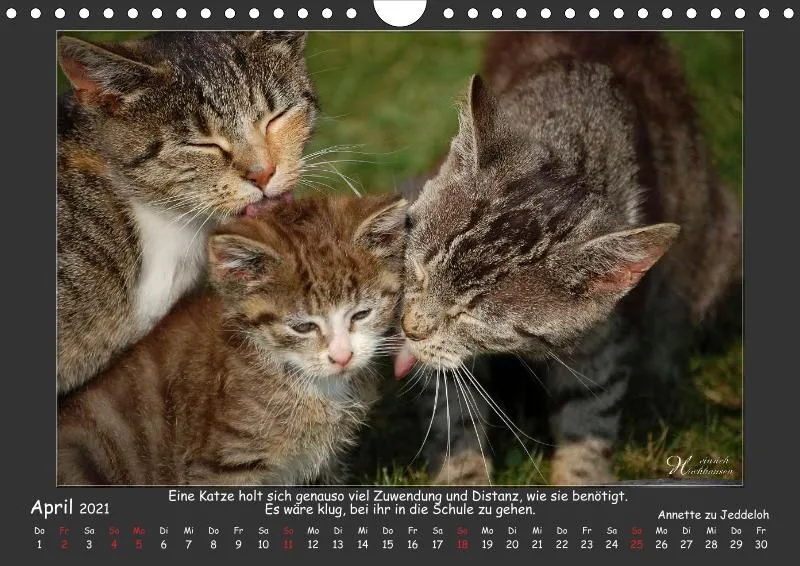 Holistic Arts Katzen-Kalender 2021 - Aristocats A4