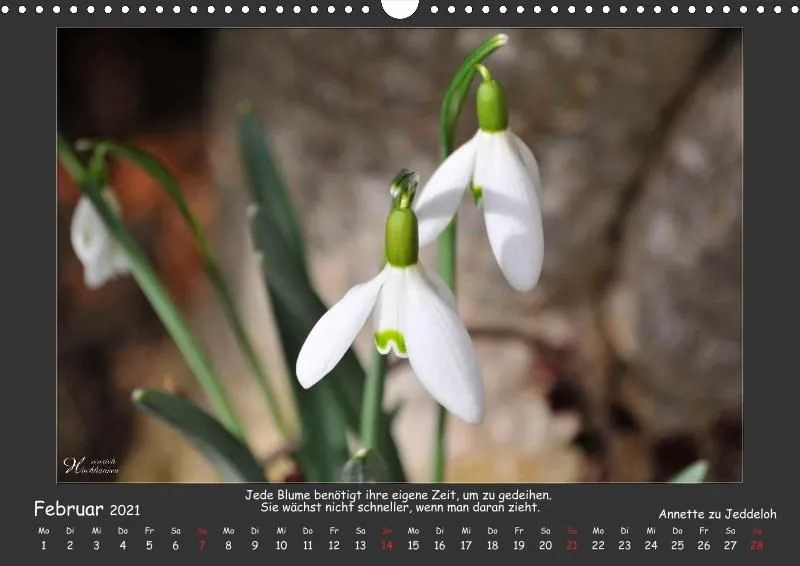 Holistic Arts Blumen-Kalender 2021 - Lächeln der Erde A3