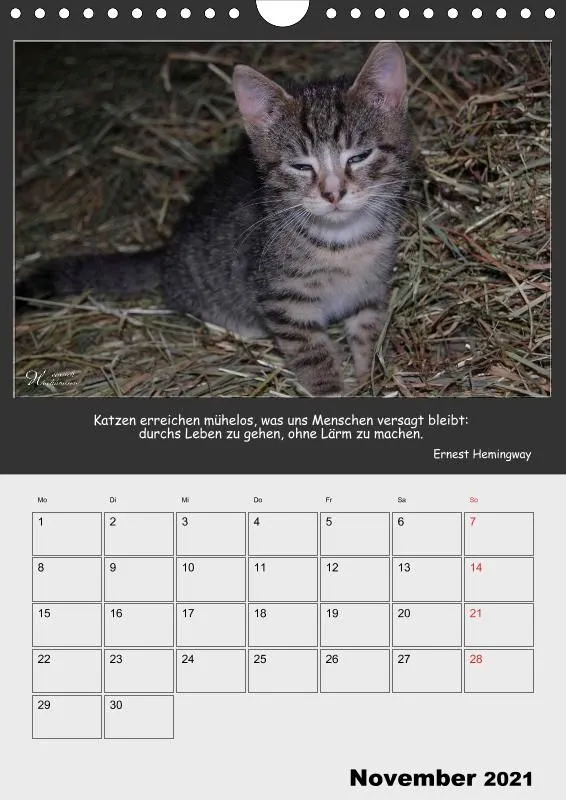 Holistic Arts Katzen-Termin-Kalender 2021 - Aristocats