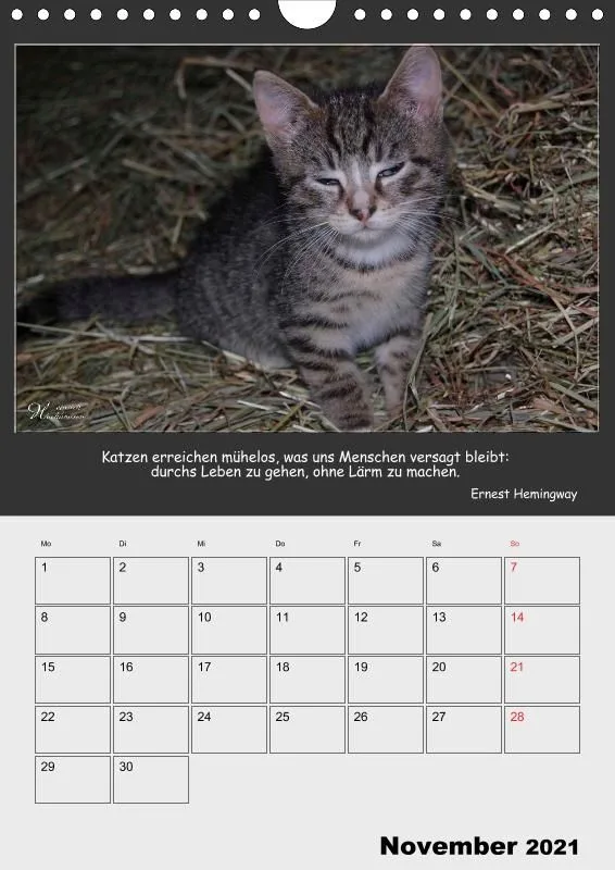 Holistic Arts Katzen-Termin-Kalender 2021 - Aristocats