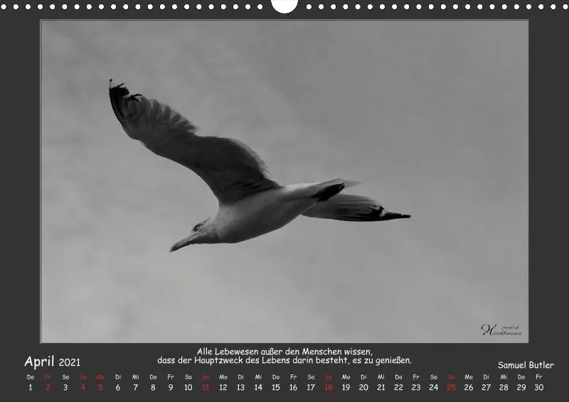 Holistic Arts Schwarzweiß-Kalender 2021 - Kontraste A3
