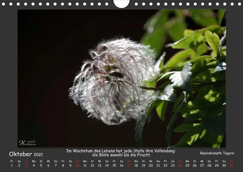 Holistic Arts Blumen-Kalender 2021 - Lächeln der Erde A4