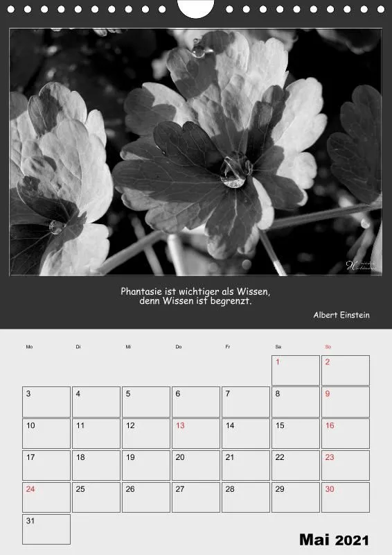 Holistic Arts Schwarzweiß-Termin-Kalender 2021 - Kontraste