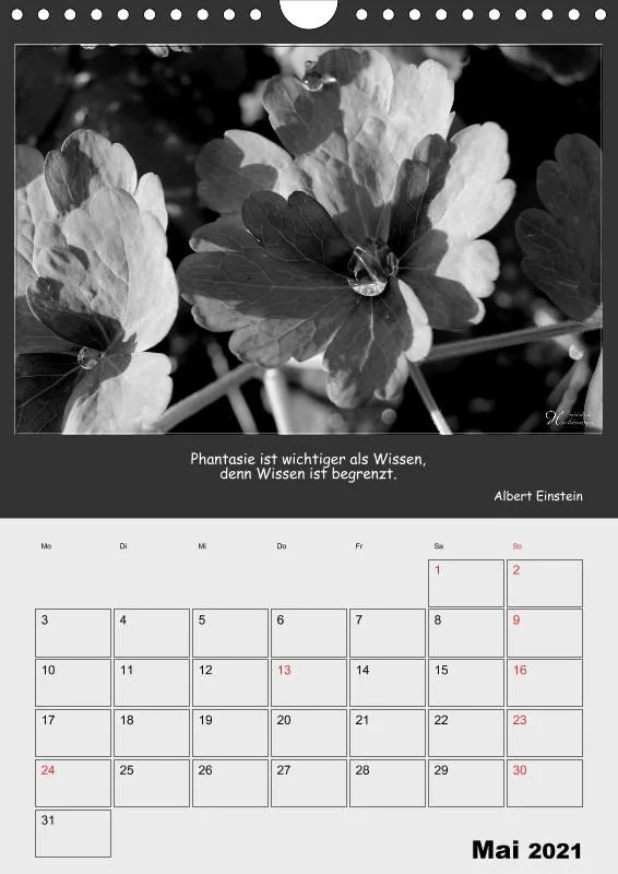 Holistic Arts Schwarzweiß-Termin-Kalender 2021 - Kontraste