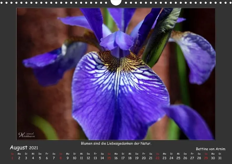 Holistic Arts Blumen-Kalender 2021 - Lächeln der Erde A3