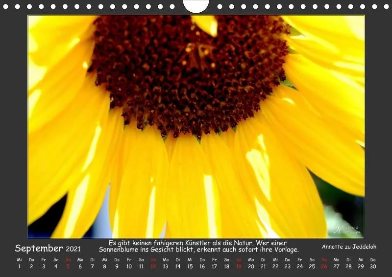 Holistic Arts Blumen-Kalender 2021 - Lächeln der Erde A4