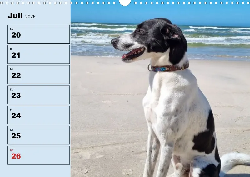 Hunde-Wochenkalender 2026 A3