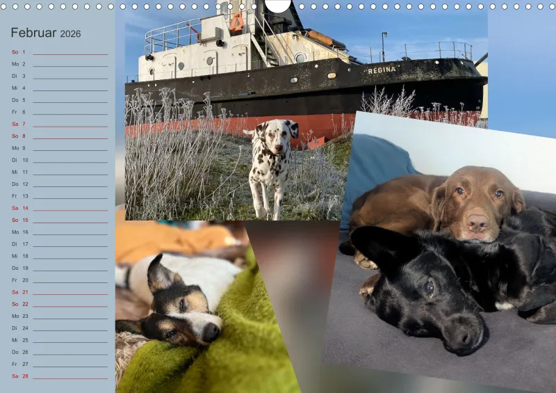 Hundekalender 2026 - DIN A3