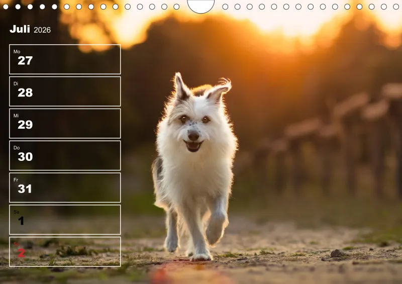 Hunde-Wochenkalender 2026 A4