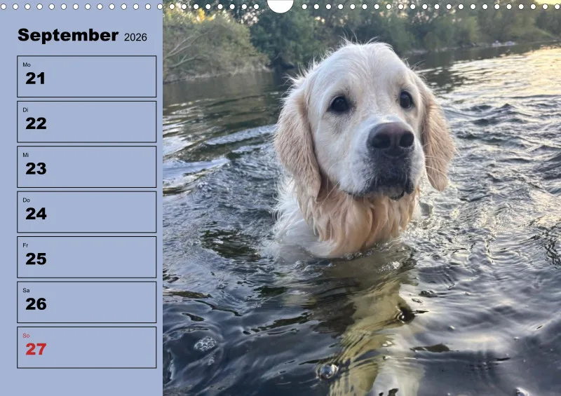 Hunde-Wochenkalender 2026 A3