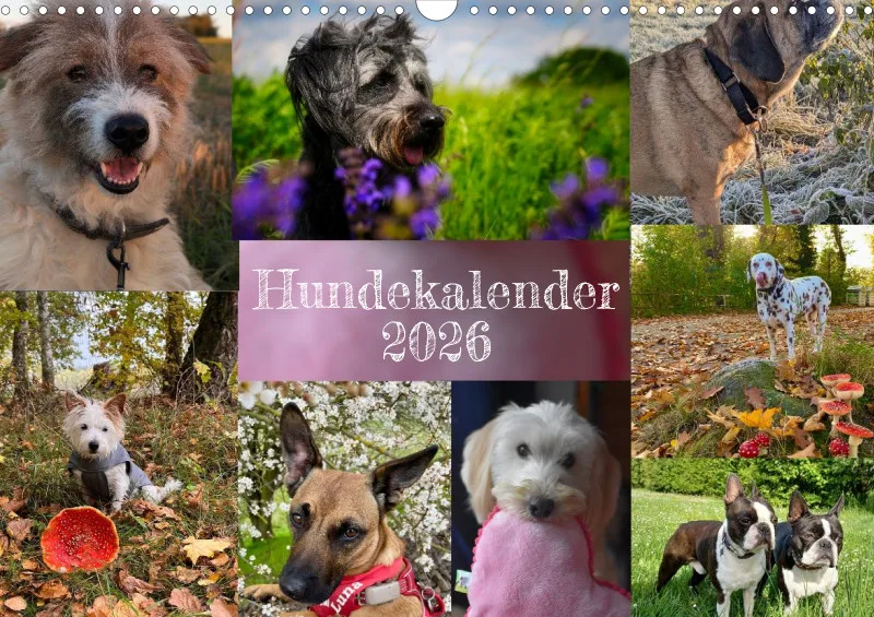 Hundekalender 2026 - DIN A3