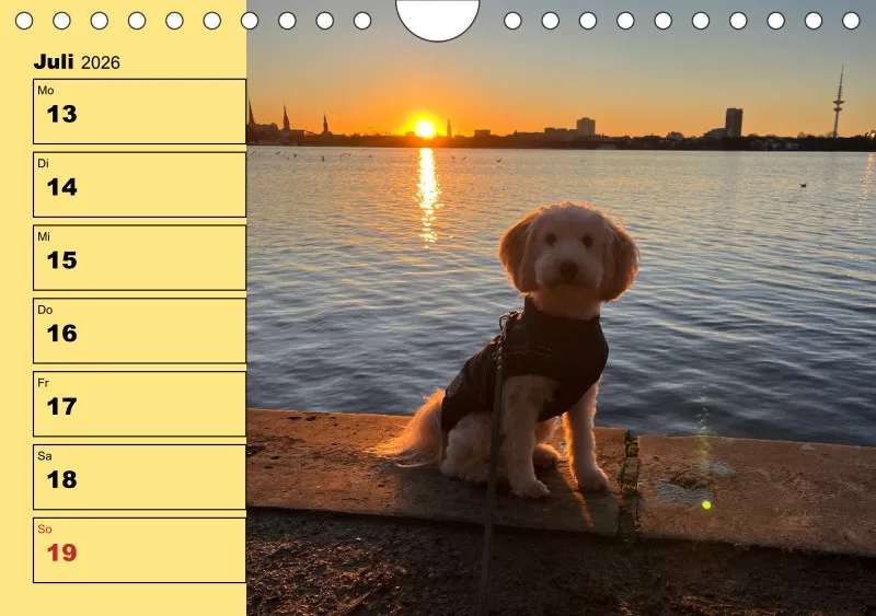 Hunde-Wochenkalender 2026 A5