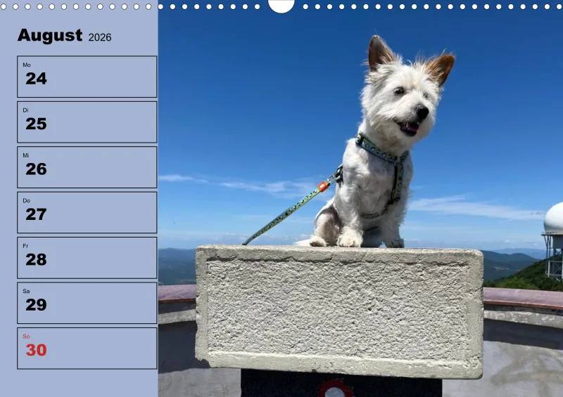 Hunde-Wochenkalender 2026 A3