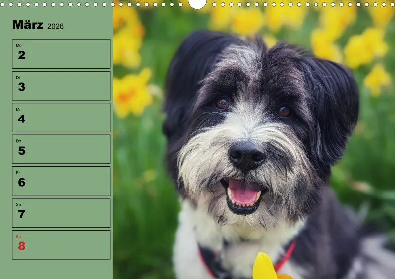 Hunde-Wochenkalender 2026 A3
