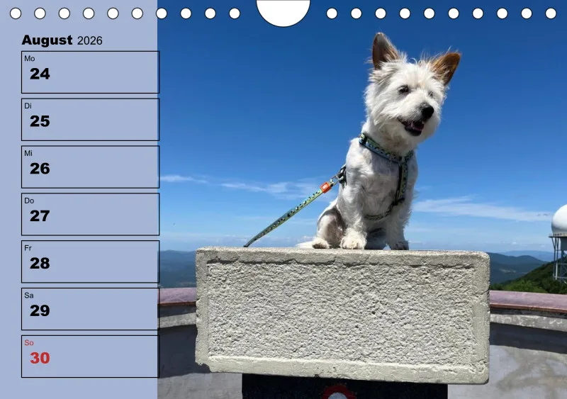 Hunde-Wochenkalender 2026 A5