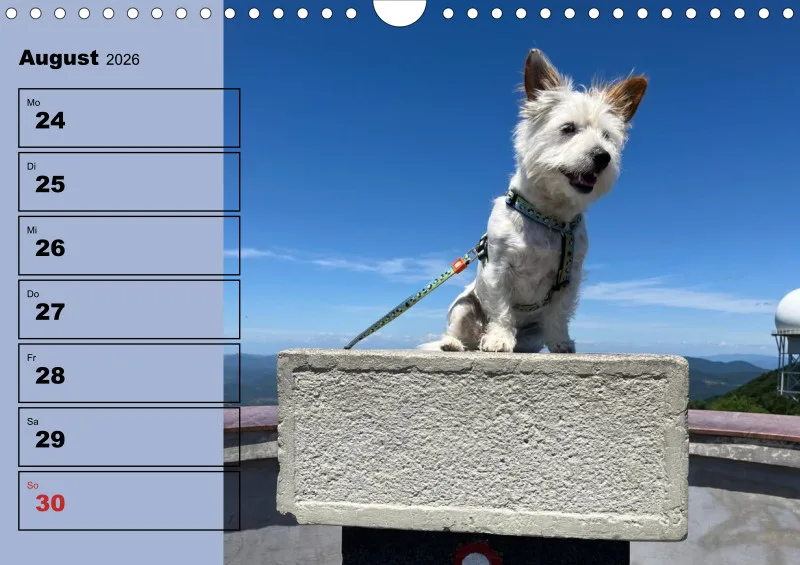 Hunde-Wochenkalender 2026 A4