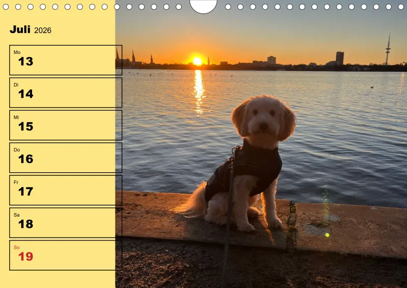 Hunde-Wochenkalender 2026 A4
