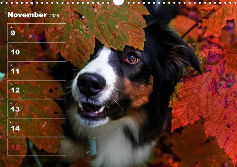 Hunde-Wochenkalender 2026 A3