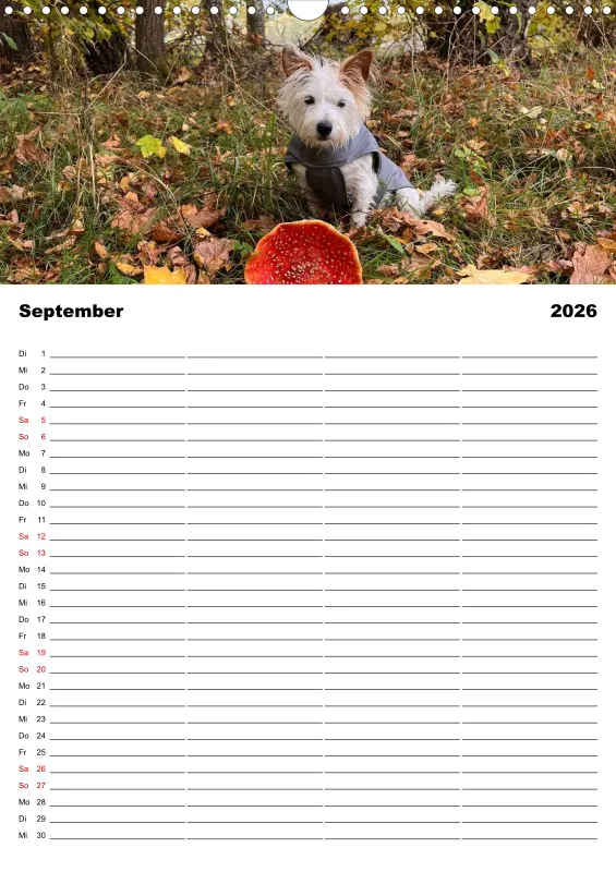 Hundekalender Familienplaner 2026