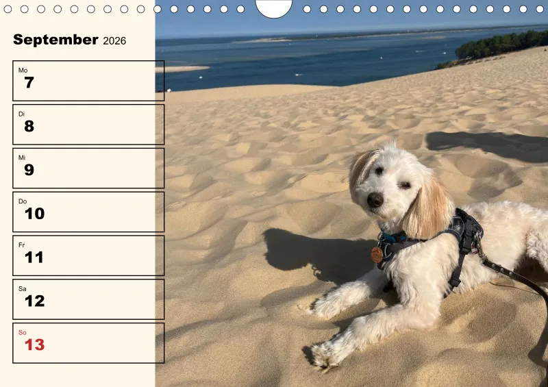 Hunde-Wochenkalender 2026 A4