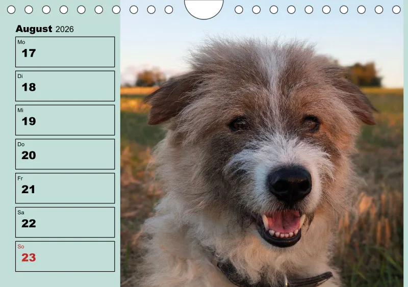 Hunde-Wochenkalender 2026 A5