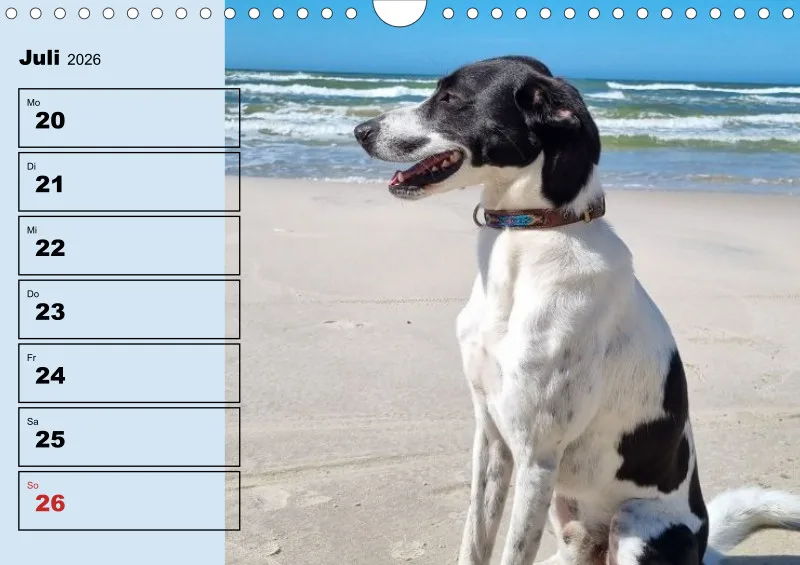 Hunde-Wochenkalender 2026 A4