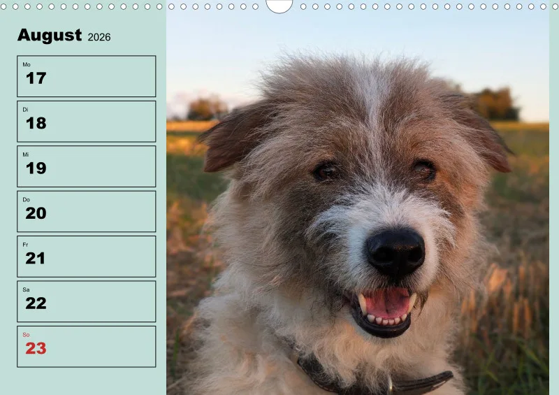 Hunde-Wochenkalender 2026 A3