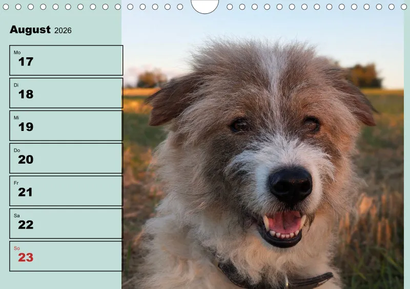 Hunde-Wochenkalender 2026 A4