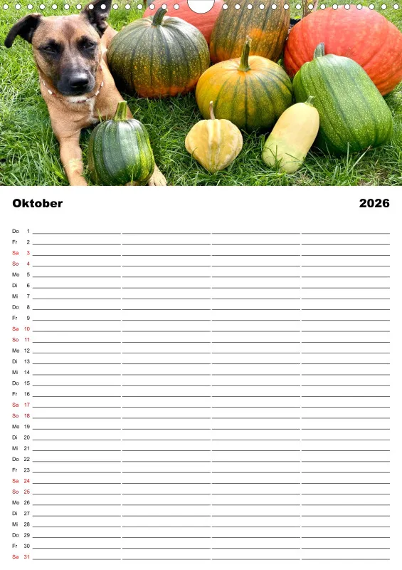 Hundekalender Familienplaner 2026