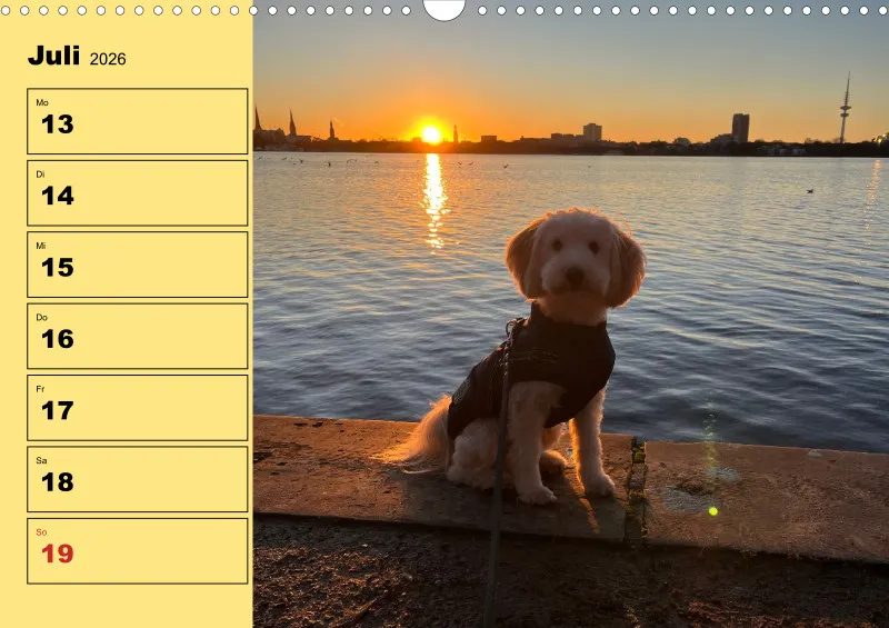 Hunde-Wochenkalender 2026 A3