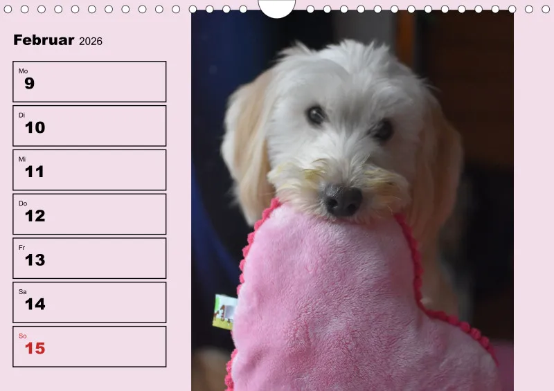 Hunde-Wochenkalender 2026 A4