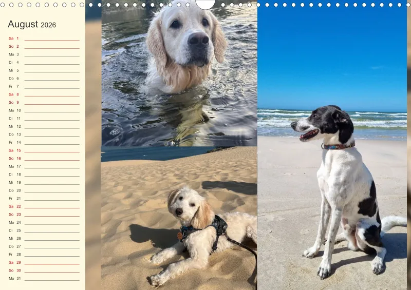 Hundekalender 2026 - DIN A3