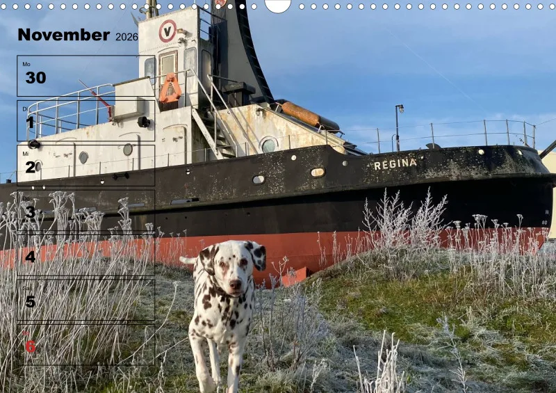 Hunde-Wochenkalender 2026 A3