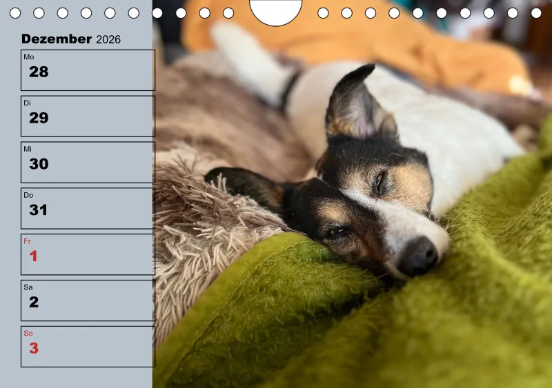 Hunde-Wochenkalender 2026 A5
