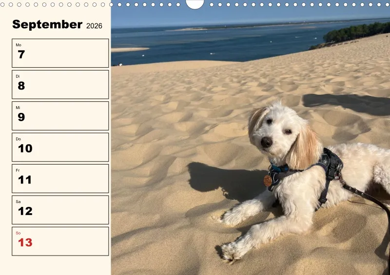 Hunde-Wochenkalender 2026 A3