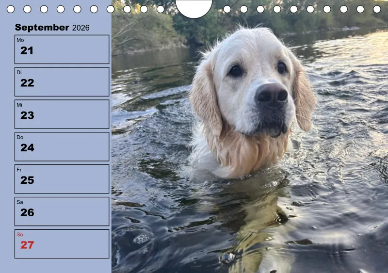 Hunde-Wochenkalender 2026 A5