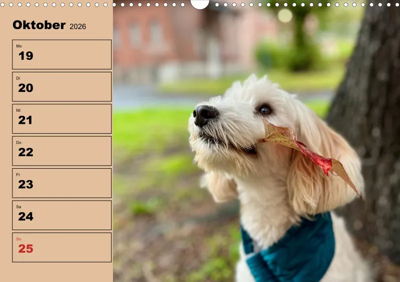 Hunde-Wochenkalender 2026 A3